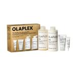 The Iconic Shine Set Holiday Prepack